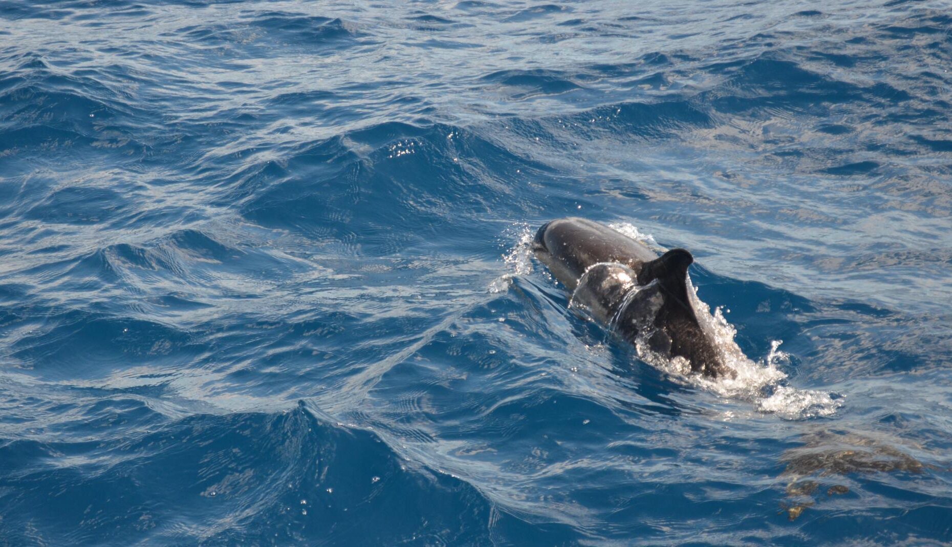 Things to do in São Miguel Island Azores volcanic landscapes
