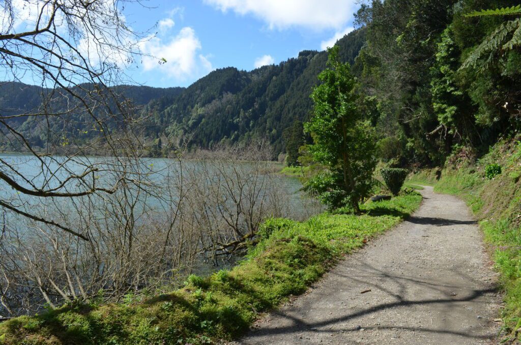Forest path near Lagoa das Furnas São Miguel Azores