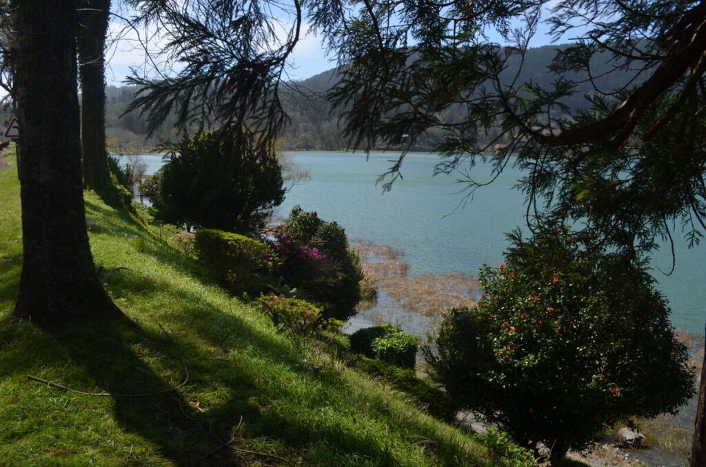 Hiking path near Lagoa das Furnas surrounded by nature São Miguel Azores
