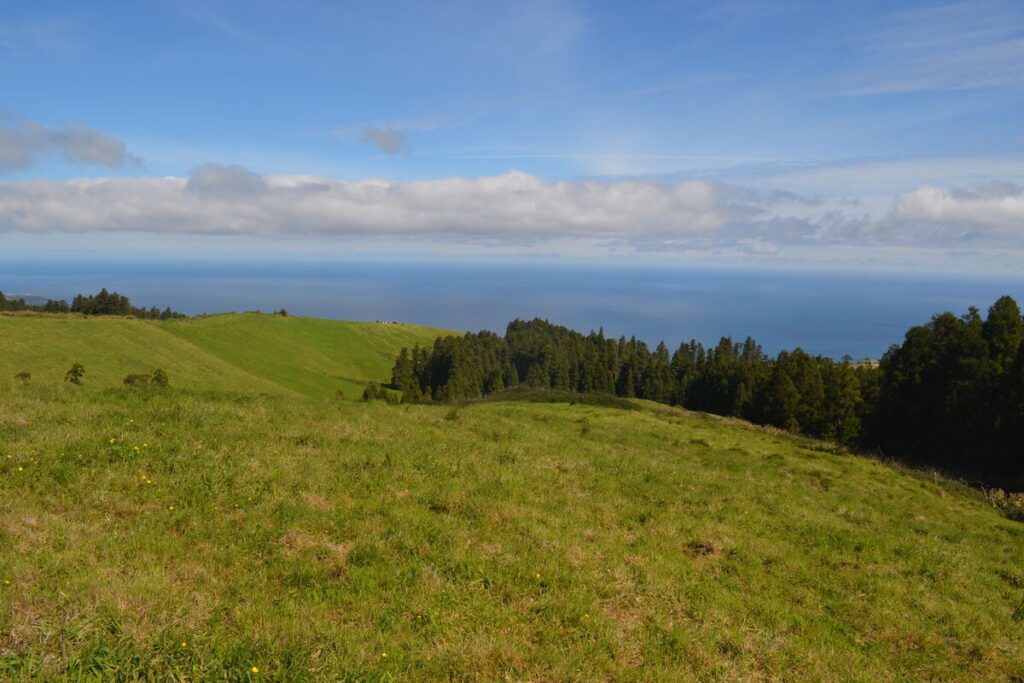 Green fields near São Brás in the Azores