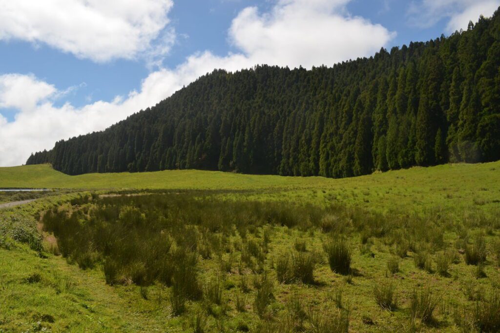 Green hills around Lagoa de São Brás