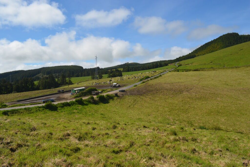 Green hills near São Brás in São Miguel Island
