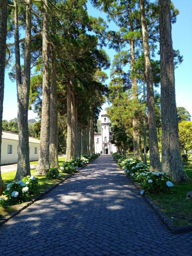 Tree-lined path leading to São Nicolau Church in Sete Cidades on São Miguel Island in the Azores