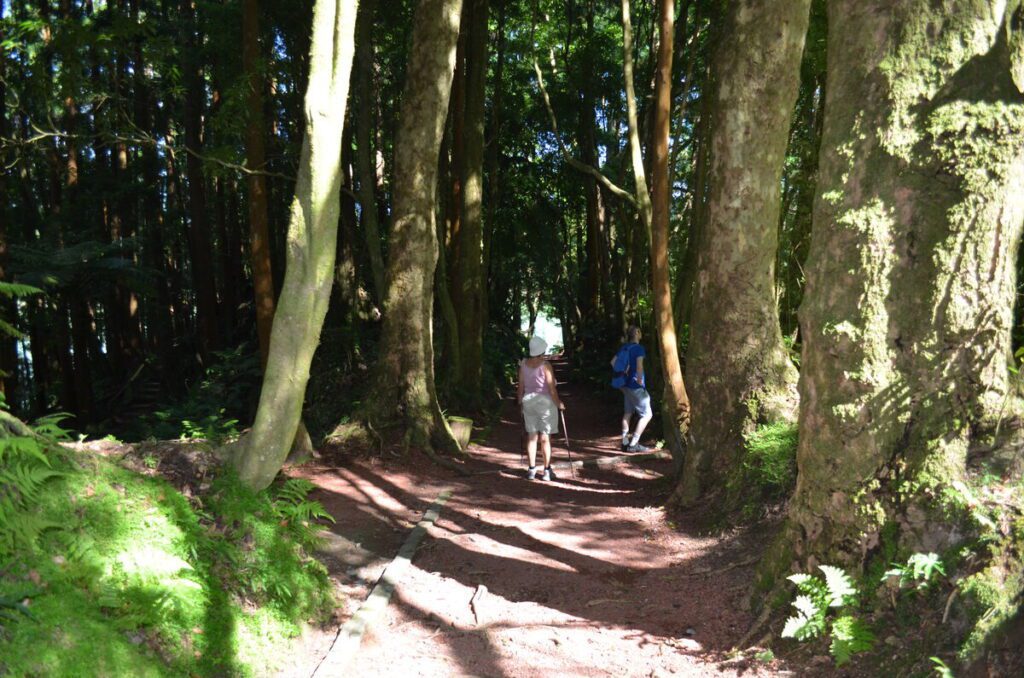 Peaceful walking trail in Parque Grena Furnas São Miguel Azores