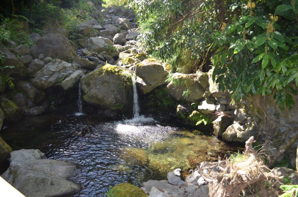 Small waterfall in Parque Grena Furnas tropical forest São Miguel Azores