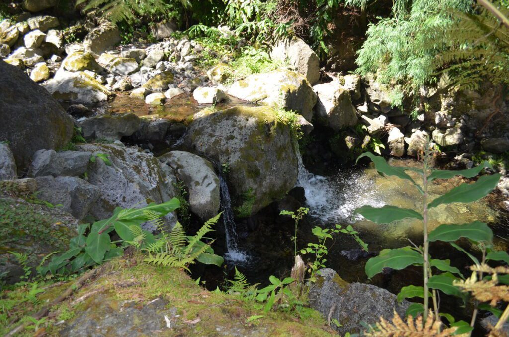 Waterfall in Parque Grena Furnas tropical forest São Miguel Azores