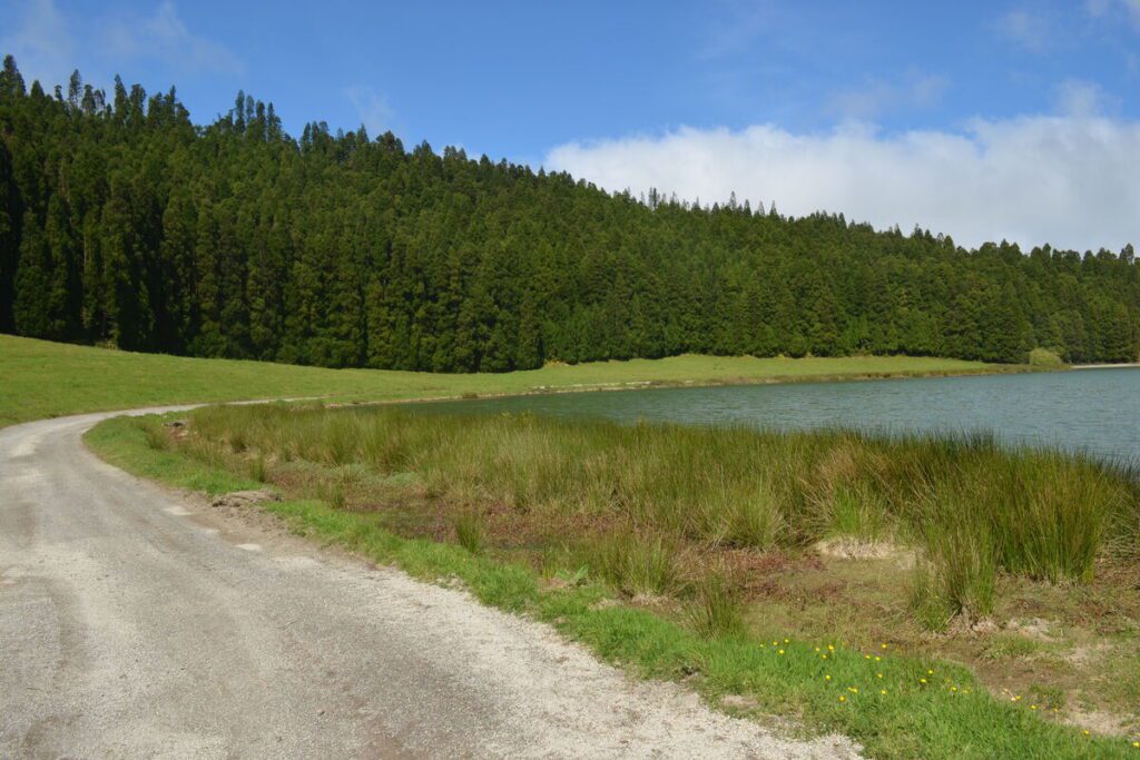 Road along Lagoa de São Brás in São Miguel