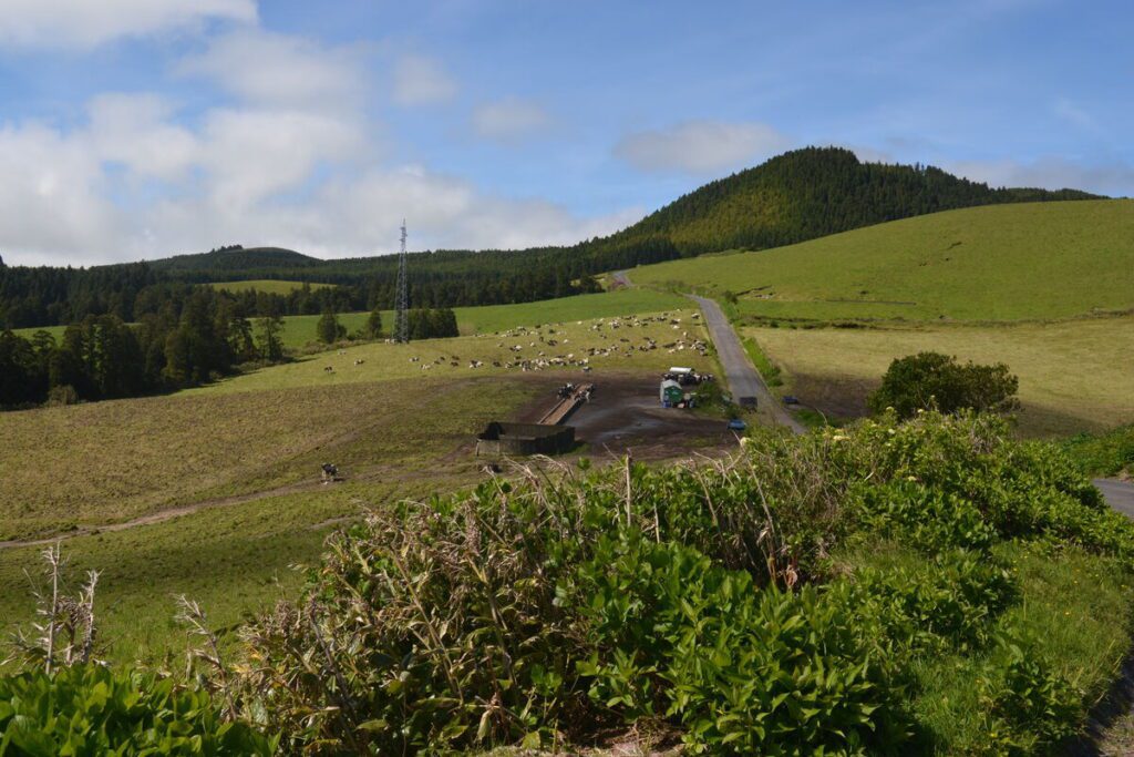 Starting point of the Lagoa de São Brás hike in São Miguel