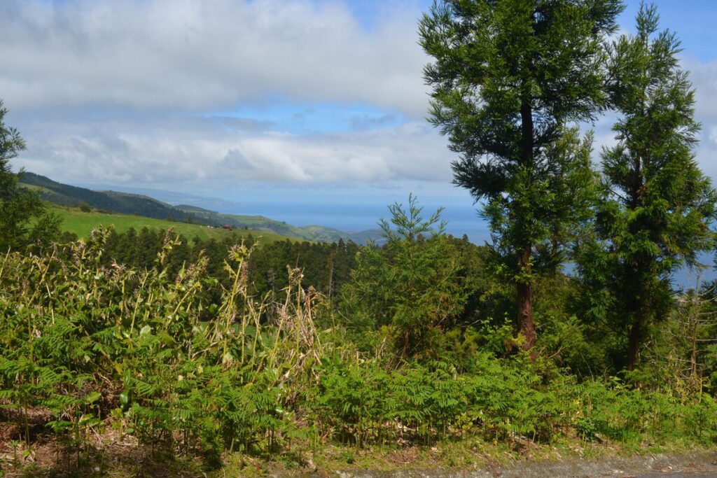View over the northern coast of São Miguel Island